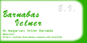 barnabas velner business card