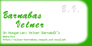 barnabas velner business card